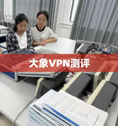 大象VPN测评