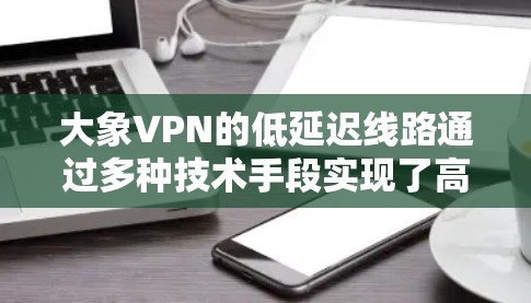 大象VPN的低延迟线路通过多种技术手段实现了高效的数据传输，确保用户能够在优异的网络性能下享受安全和隐私保护服务。以下是详细的技术和优势分析