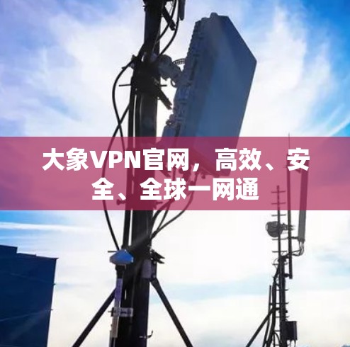 大象VPN官网，高效、安全、全球一网通